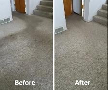 Fresh House Carpet,Rugs,Upholstery,Sofa_Cleaning - Photo 3