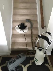 Fresh House Carpet,Rugs,Upholstery,Sofa_Cleaning - Photo 4