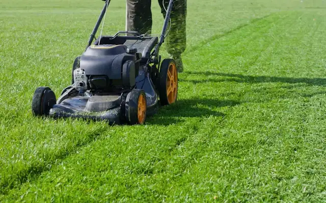 Is Your Lawn Looking Overgrown? We Can Help!