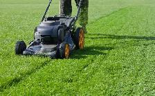 Is Your Lawn Looking Overgrown? We Can Help!