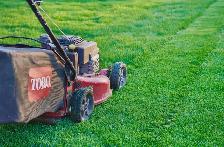 Is Your Lawn Looking Overgrown? We Can Help! - Photo 2
