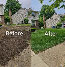 Is Your Lawn Looking Overgrown? We Can Help! - Photo 4