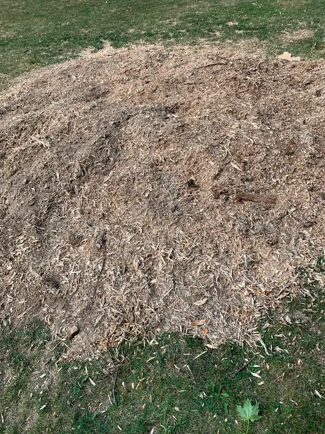 Free Mulch
