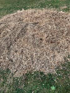 Free Mulch