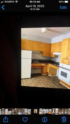 Semi Retired Cleaner Available - Photo 2