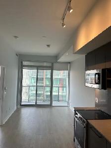 one plus den in Liberty village - Photo 9