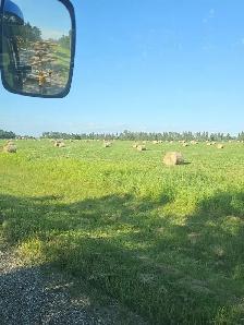 Hay Bales 66'