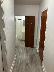 Sandy Hill Bachelor/Studio Apartment for Rent (257 Daly Ave) - Photo 4