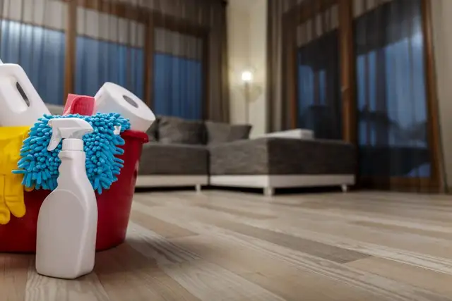 Polish Cleaning Lady in GTA: Free quotes in person or by phone