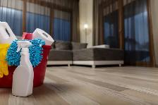 Polish Cleaning Lady in GTA: Free quotes in person or by phone