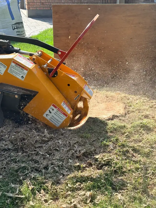 stump Grinding Services