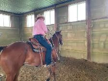 Real nice Gelding aprox 10yrs $9500 CALL 403-860-4478 - Photo 5