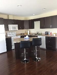 2 Bedroom plus Den Duplex for Rent in Steinbach September1, 2026 - Photo 3