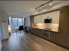1 bedroom Condo in the Heart of Downtown Toronto - Photo 2