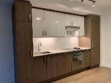 1 bedroom Condo in the Heart of Downtown Toronto - Photo 3