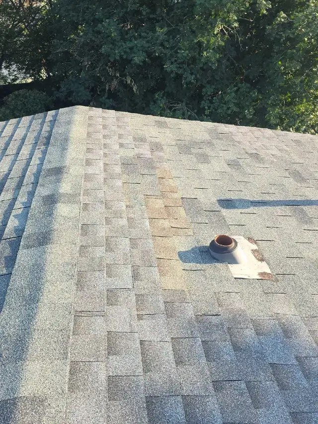 roofing help