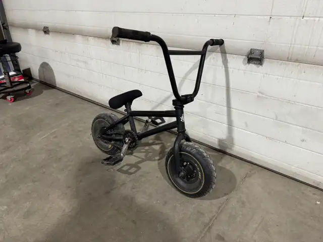 Mini BMX (Banger)