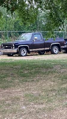 81 Shortbox Chevy - Photo 2