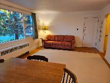 Three bedroom apartment available January 2027 - Photo 11