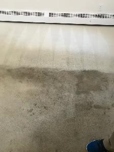 Carpet and Upholstery Cleaning - Photo 5