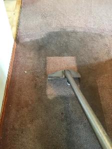 Carpet and Upholstery Cleaning - Photo 8