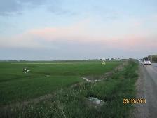 Agriculture, Farms, Development Land available For Sale