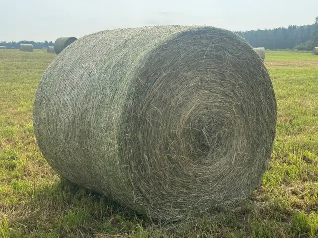 2026 Hay for sale