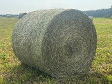 2026 Hay for sale