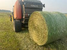 2026 Hay for sale - Photo 2