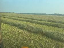 2026 Hay for sale - Photo 3