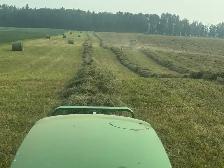 2026 Hay for sale - Photo 5