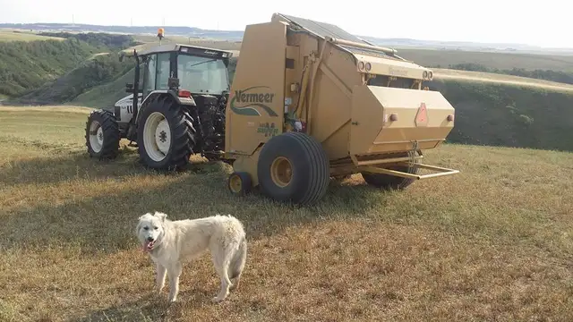 Pasture (Rare joint venture opportunitry)