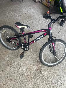 20" girls bike