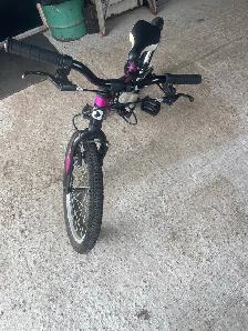 20" girls bike - Photo 2