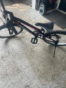 20" girls bike - Photo 3