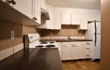1854 Glenwood Dr-basement suite - Photo 2