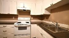 1854 Glenwood Dr-basement suite - Photo 3