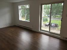 4½  à louer, secteur Lebourgneuf, pour SEPTEMBRE 2026 - Photo 2