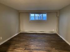 South side two bedroom lower level unit