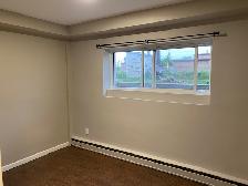 South side two bedroom lower level unit - Photo 4