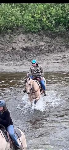 2018 Grade QH Gelding - Photo 2