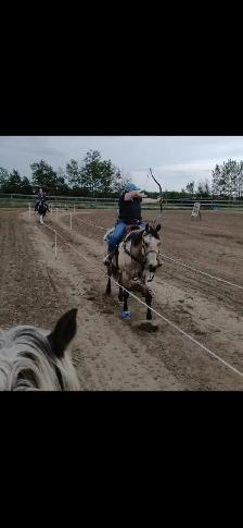 2018 Grade QH Gelding - Photo 3
