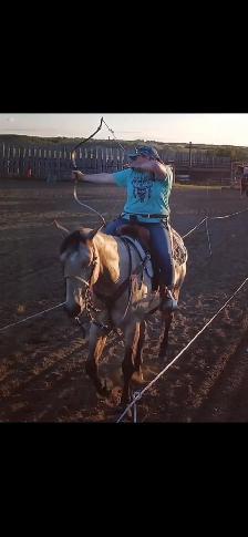 2018 Grade QH Gelding - Photo 5