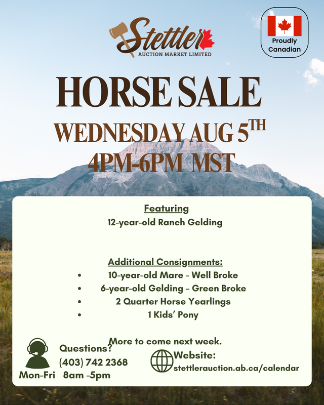 Horse Sale August 5th- Stettler Auction Market Limited