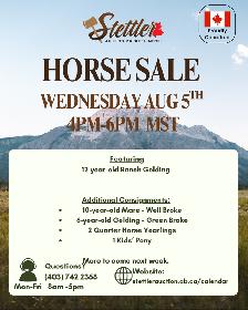 Horse Sale August 5th- Stettler Auction Market Limited