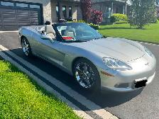 Mint cruiser
