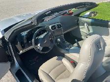 Mint cruiser - Photo 6