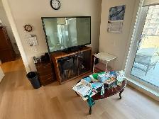 Parent moving all furnishings must go asking only $995.00  OBO - Photo 2
