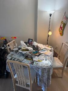 Parent moving all furnishings must go asking only $995.00  OBO - Photo 7