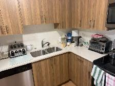 Parent moving all furnishings must go asking only $995.00  OBO - Photo 8